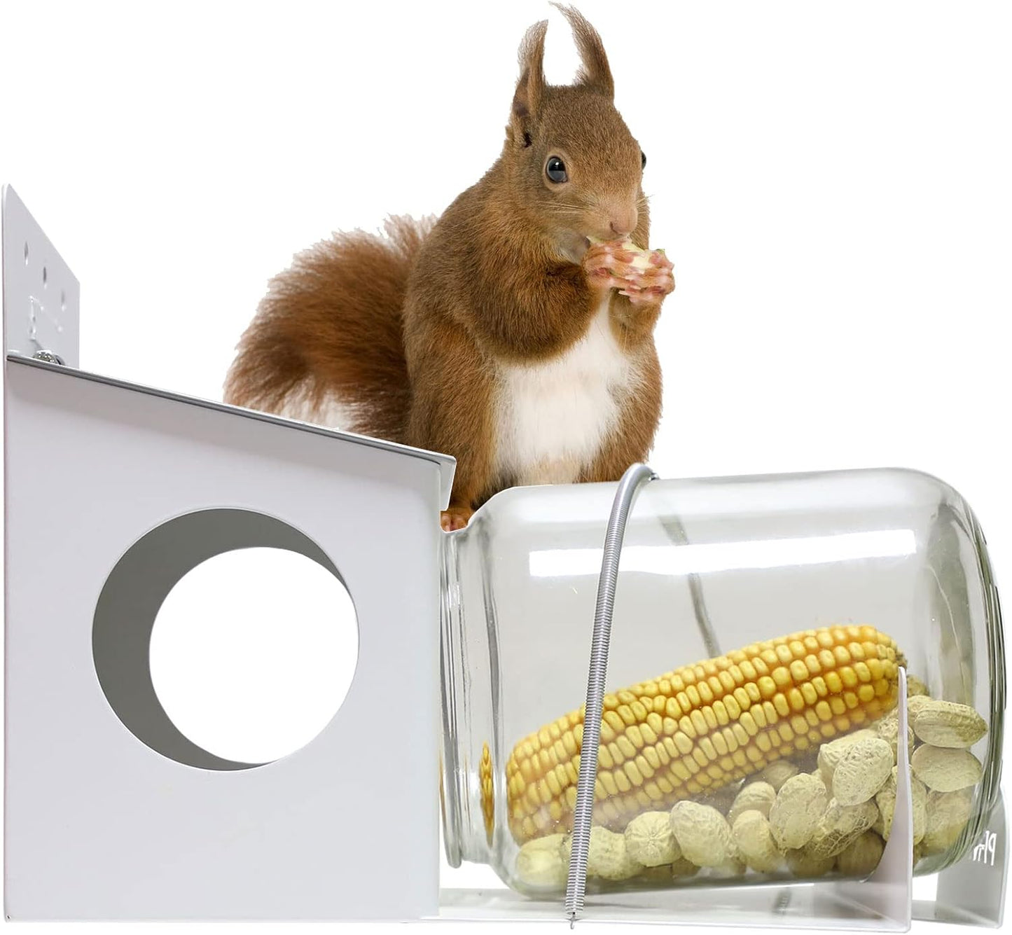 New Arrival Metal Squirrel Feeder Garden Squirrel Outdoor Small Animal Feeder VL-0531