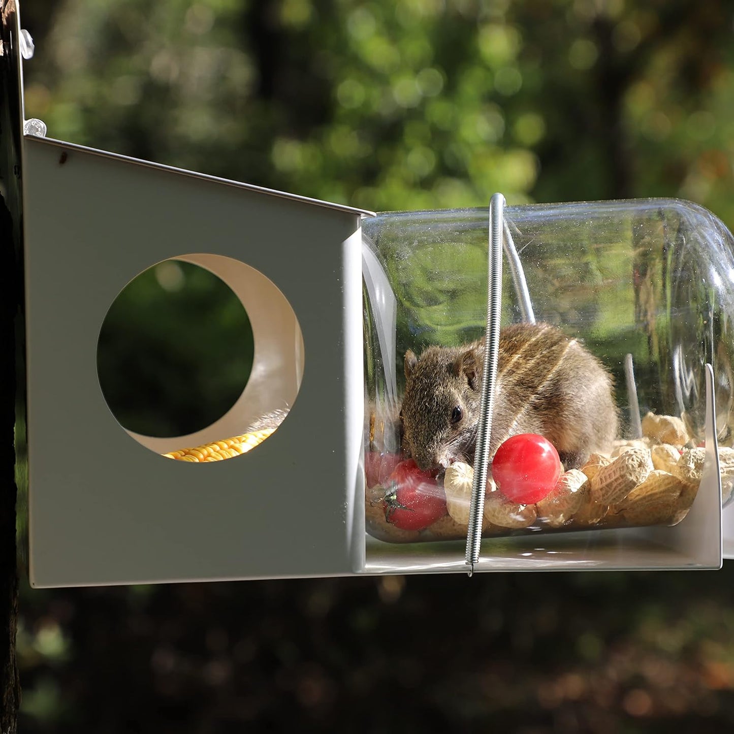 New Arrival Metal Squirrel Feeder Garden Squirrel Outdoor Small Animal Feeder VL-0531