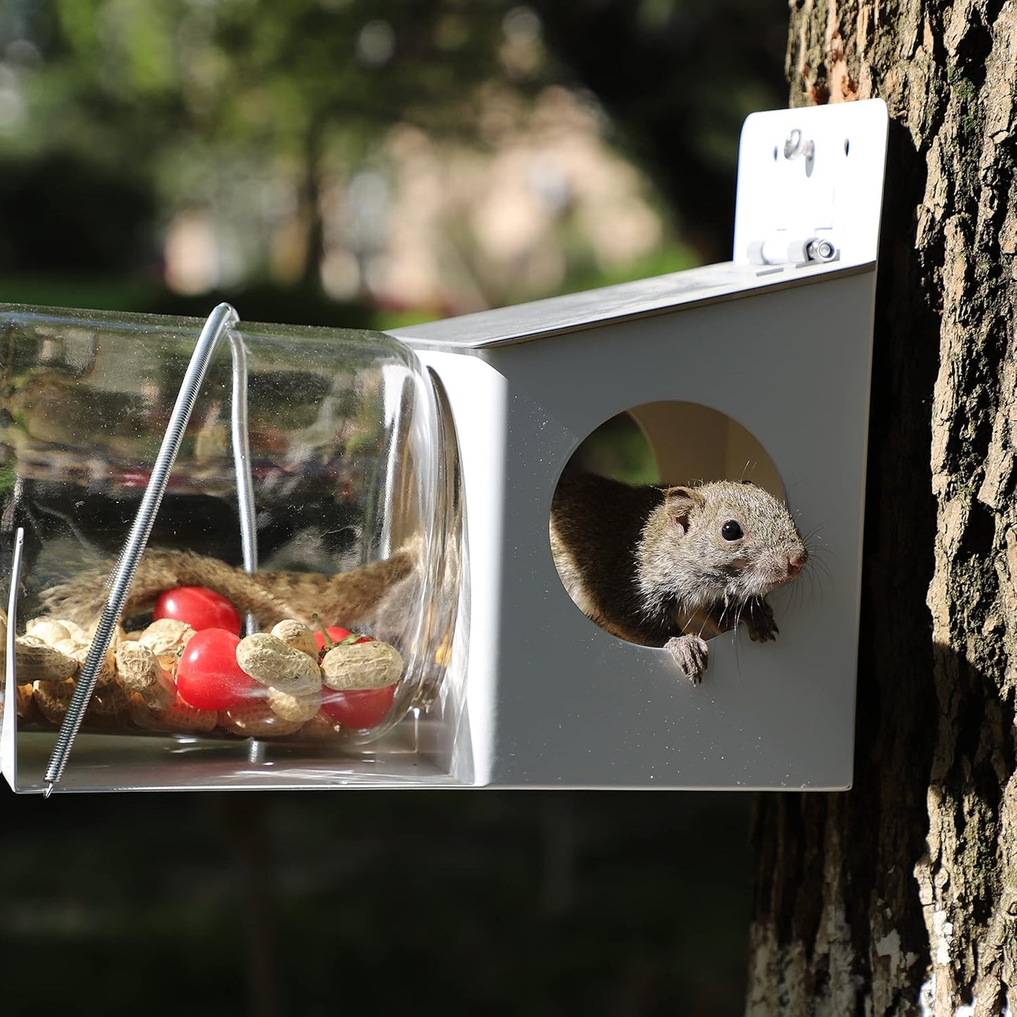 New Arrival Metal Squirrel Feeder Garden Squirrel Outdoor Small Animal Feeder VL-0531