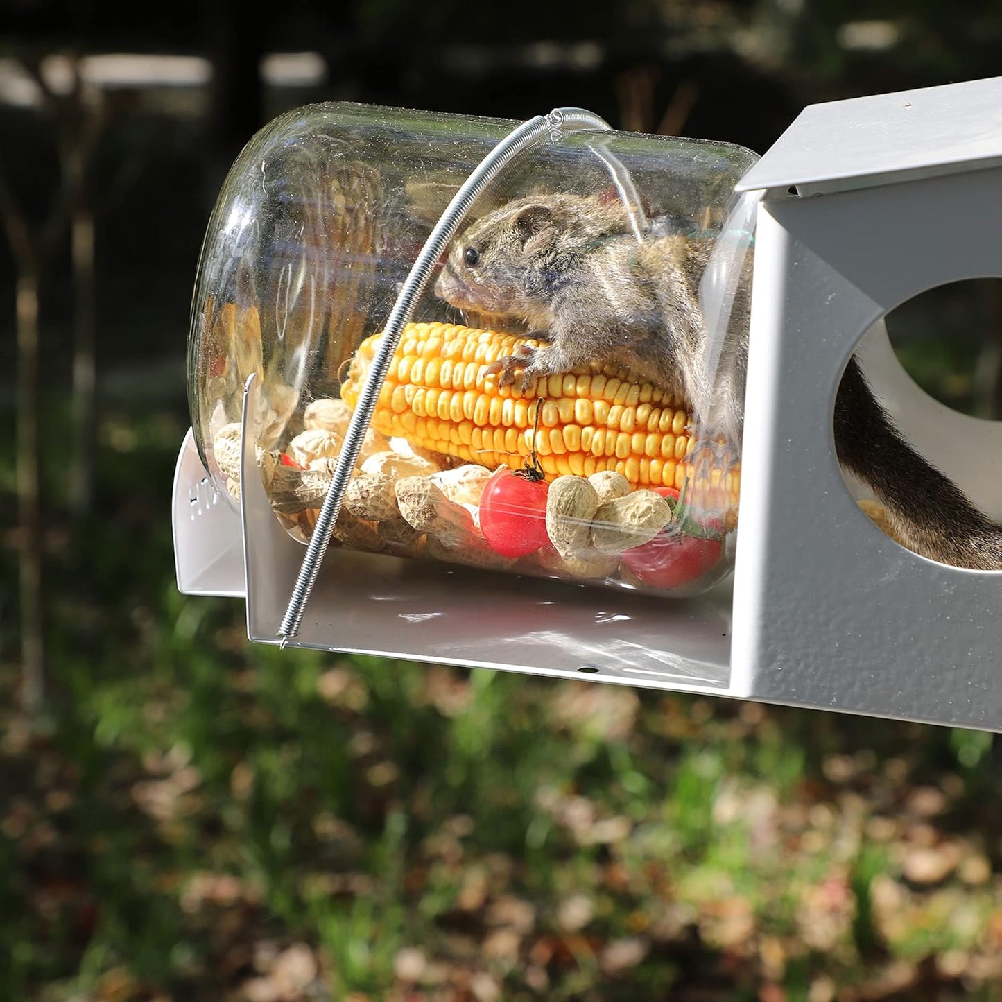 New Arrival Metal Squirrel Feeder Garden Squirrel Outdoor Small Animal Feeder VL-0531
