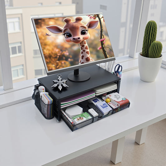 Metal 2-Tier Monitor Stand Riser, Desk Organizer for Monitor, Desk Storage Organizer for Office VL-0538