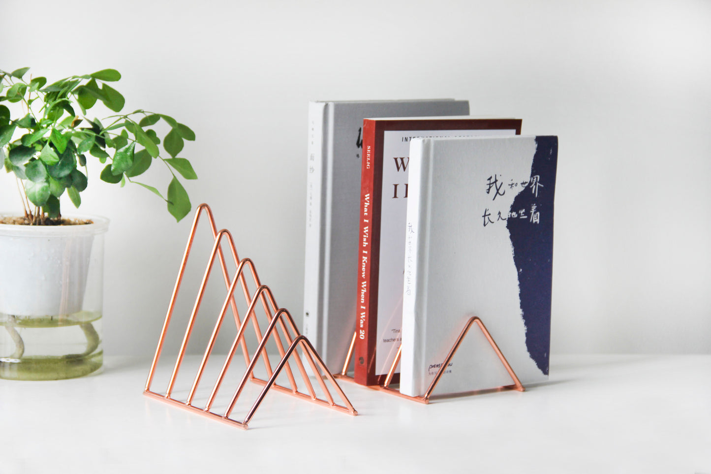 Europe Style Triangle Shape Book Holder Stand Book Shelves For The Desk VL-0328